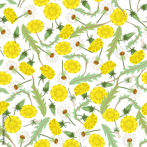 Fototapeta Naklejka Na Ścianę i Meble -  Seamless pattern with dandelions