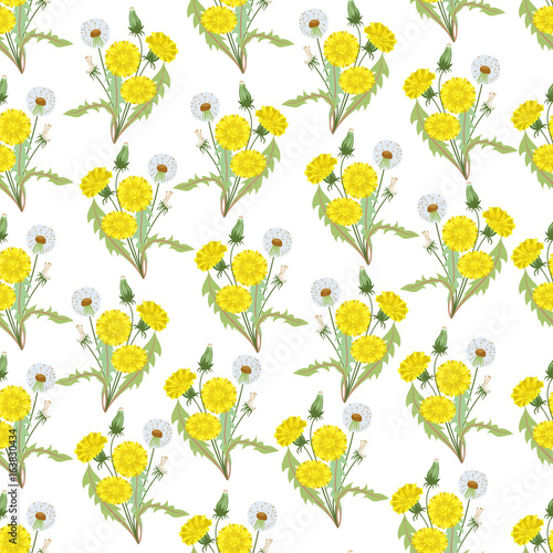 Fototapeta Naklejka Na Ścianę i Meble -  Seamless pattern with bouquets of dandelions