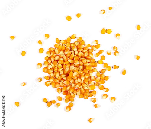 yellow grain corn isolated on white background, for popcorn, top view