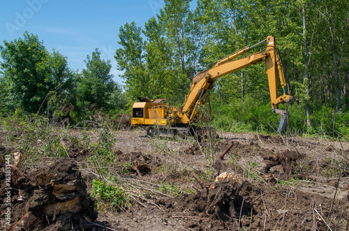 Deforestation of forest. Excavator used for digging logs and roots