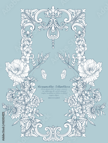 Summer flowers: poppy, daffodil, anemone, violet, in botanical s