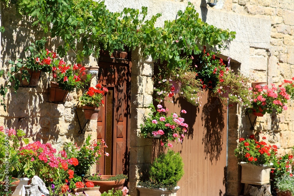 Fototapeta premium Maisons, village de Puycelsi, Tarn, France