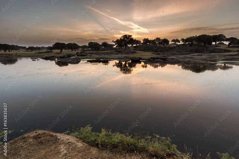 Fototapeta premium Dawn near Arroyo de la Luz. Extremadura. Spain.