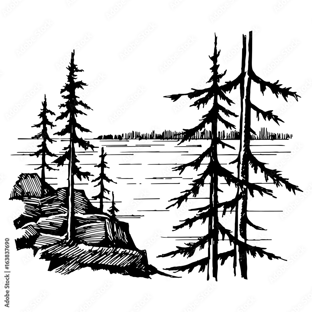 Landscape with lake and spruce fores Landscape with lake and spruce fores