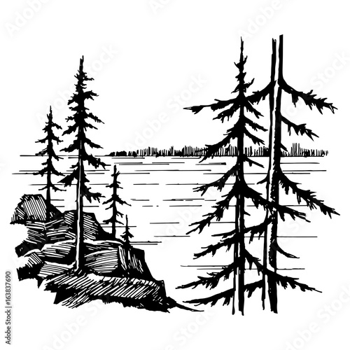 Landscape with lake and spruce fores
