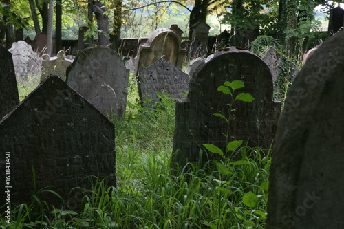 old jewish cemetery