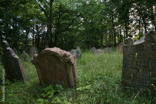 old jewish cemetery