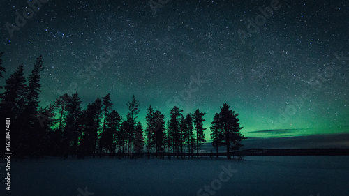 Sapins sous les aurores boreales