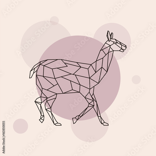 Lama side view. Geometric style. Vector illustration.