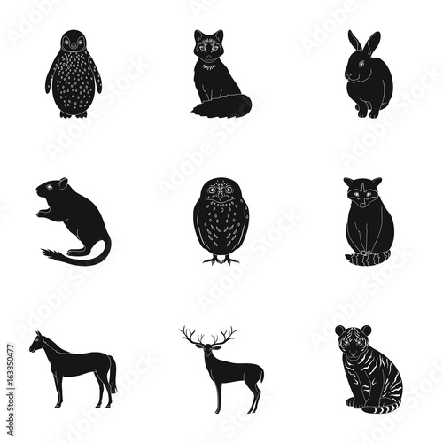 Deer, tiger, cow, cat, rooster, owl and other animal species.Animals set collection icons in black style vector symbol stock illustration web.