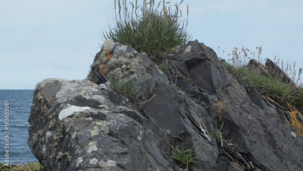 A Cliff At The Beach. A Revealing Shot Showing A Ship In The Background A Cliff At The Beach. A Revealing Shot Showing A Ship In The Background