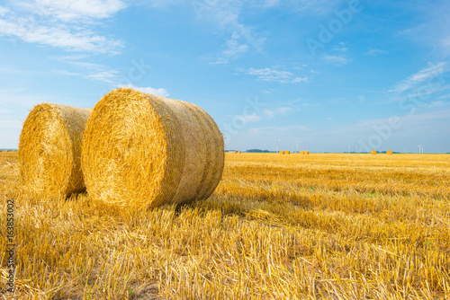 Large round straw bales in a field in summer