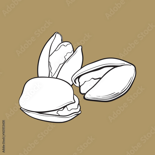 Group of black and white pistachio nuts, shelled and unshelled, sketch style vector illustration isolated on brown background. Realistic hand drawing of pistachio nuts