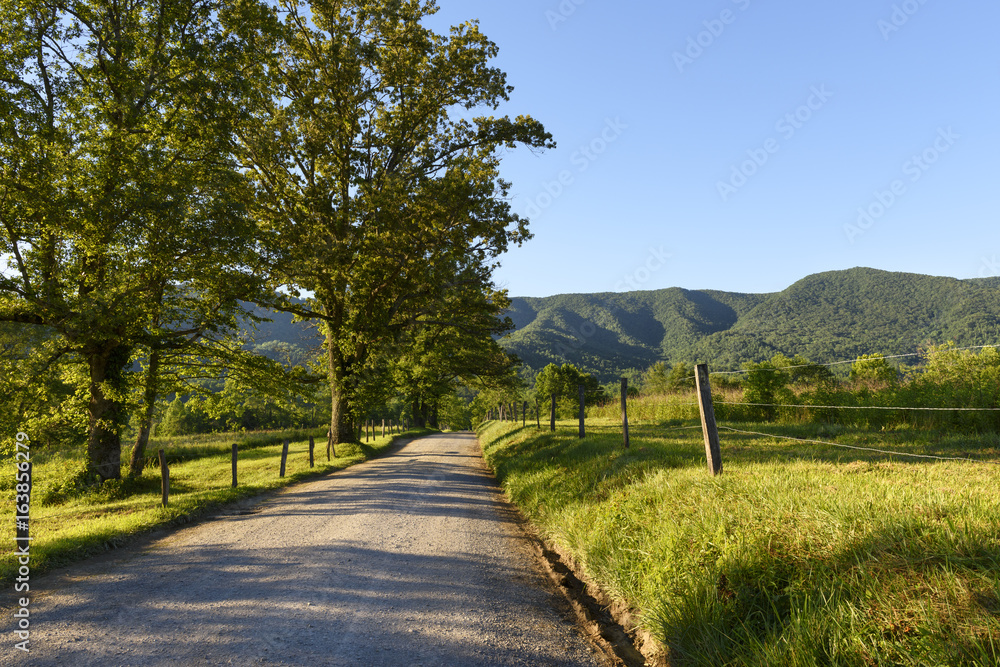 Gravel Road on Summer Day in the Smokies