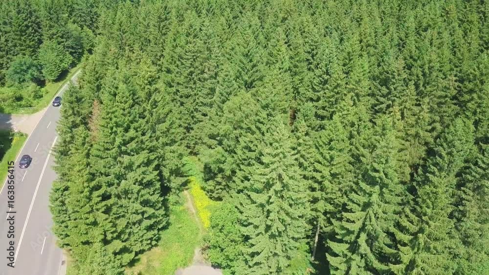 Road in the Harz from the Drone Road in the Harz from the Drone