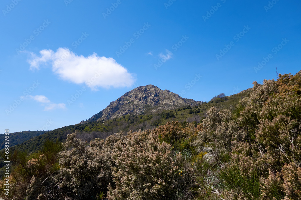 Corsican mountain