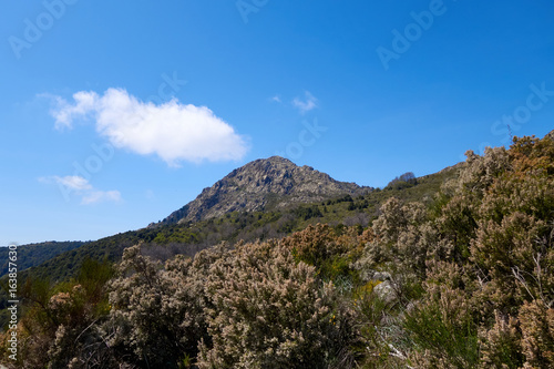 Corsican mountain