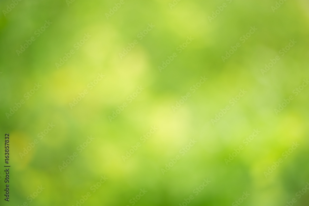 Abstract circular green bokeh background,Natural blur green for backgrounds design Abstract circular green bokeh background,Natural blur green for backgrounds design