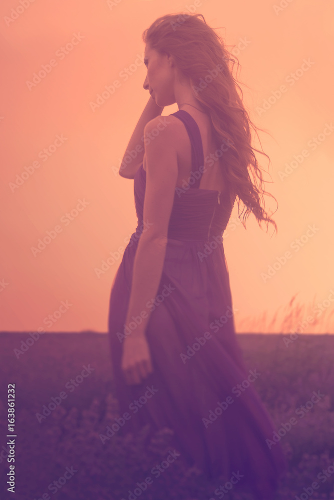 Silhouette of a young woman with long hair enjoying beautiful sunset in the lavender field. Back view of a romantic girl holding a bouquet of lavender flowers.Toned image.Rear view. Silhouette of a young woman with long hair enjoying beautiful sunset in the lavender field. Back view of a romantic girl holding a bouquet of lavender flowers.Toned image.Rear view.
