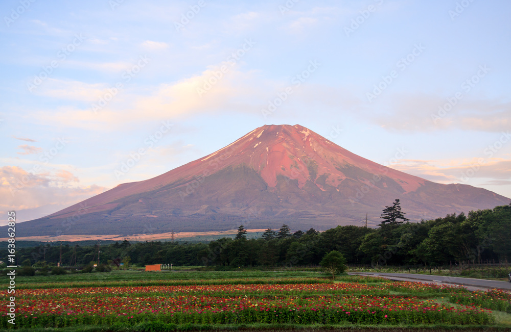花の都公園から赤富士