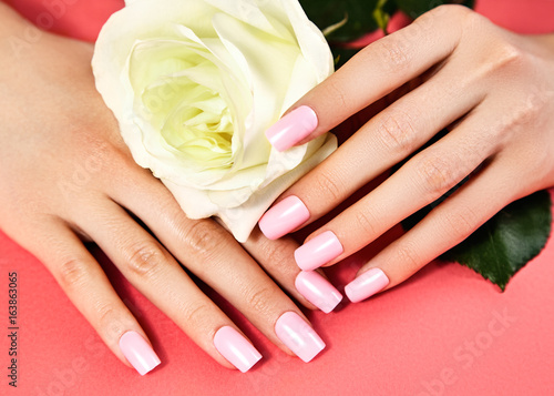 Manicured nails with pink nail polish. Manicure with nailpolish. Fashion art manicure  shiny gel lacquer. Nails salon