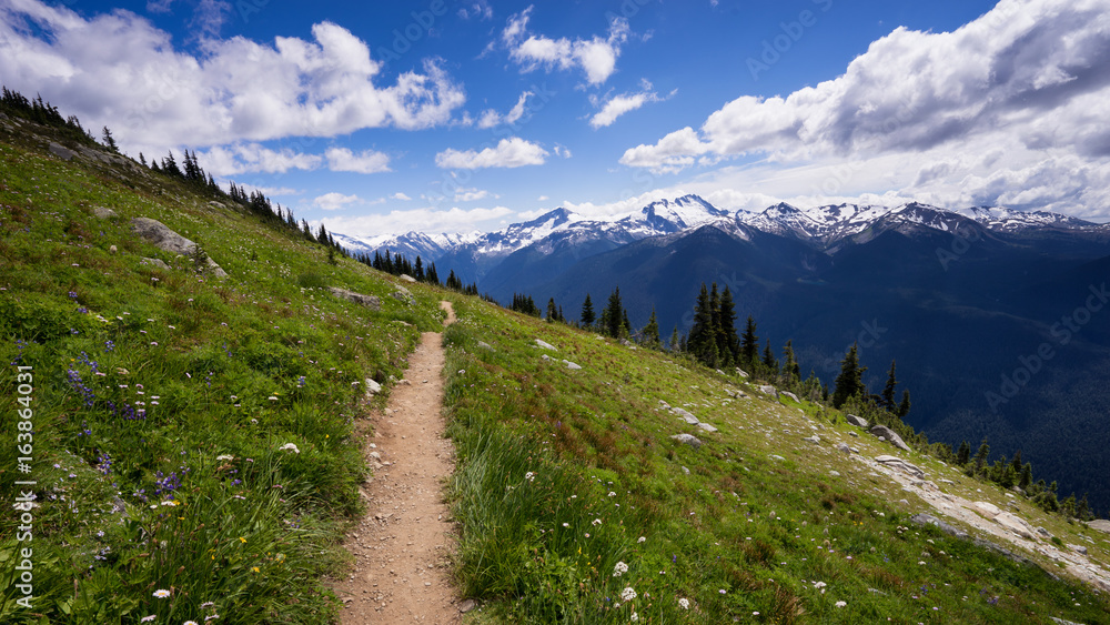 Hiking trail on Blackcomb Mountain, Whistler, British Columbia, Canada