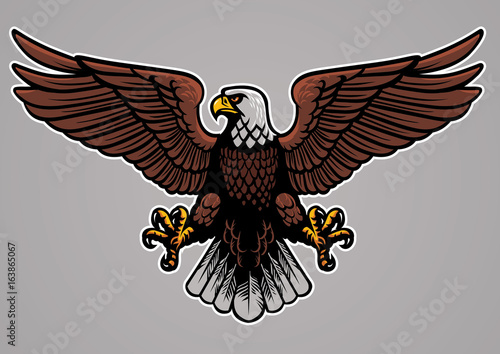 bald eagle spread his wings