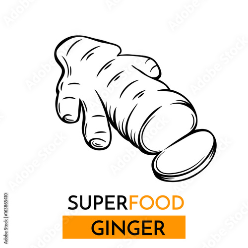 vector icon superfood ginger