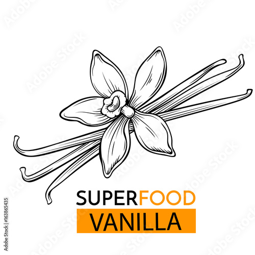vector icon superfood vanilla