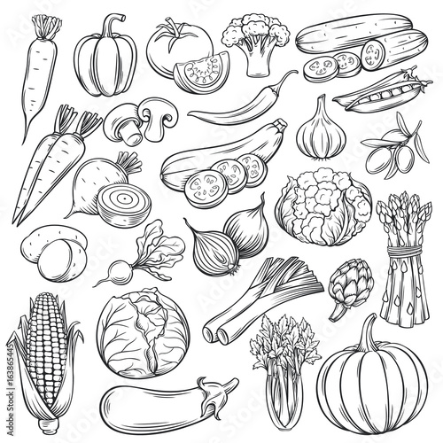 Vector hand drawn vegetables icons set
