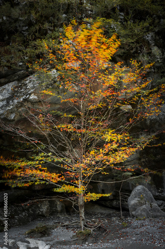 Autumn Pyrenees