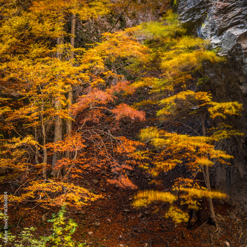 Autumn Pyrenees