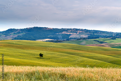 Tuscany © saknarong
