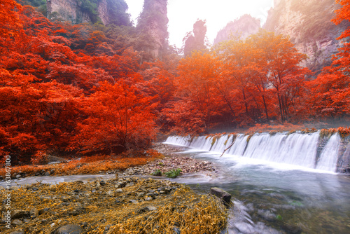 Fototapeta Naklejka Na Ścianę i Meble -  Waterfall in Golden whip stream at Zhangjiajie National Forest Park, Hunan, China
