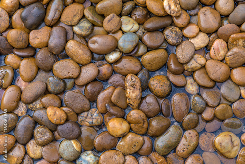 Wet stones dark pebbles with water drops in garden for background