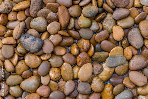 Wet stones dark pebbles with water drops in garden for background