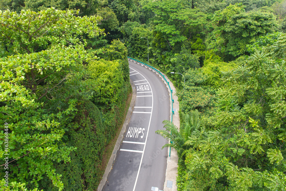 top view of curving road with trees in a public park.