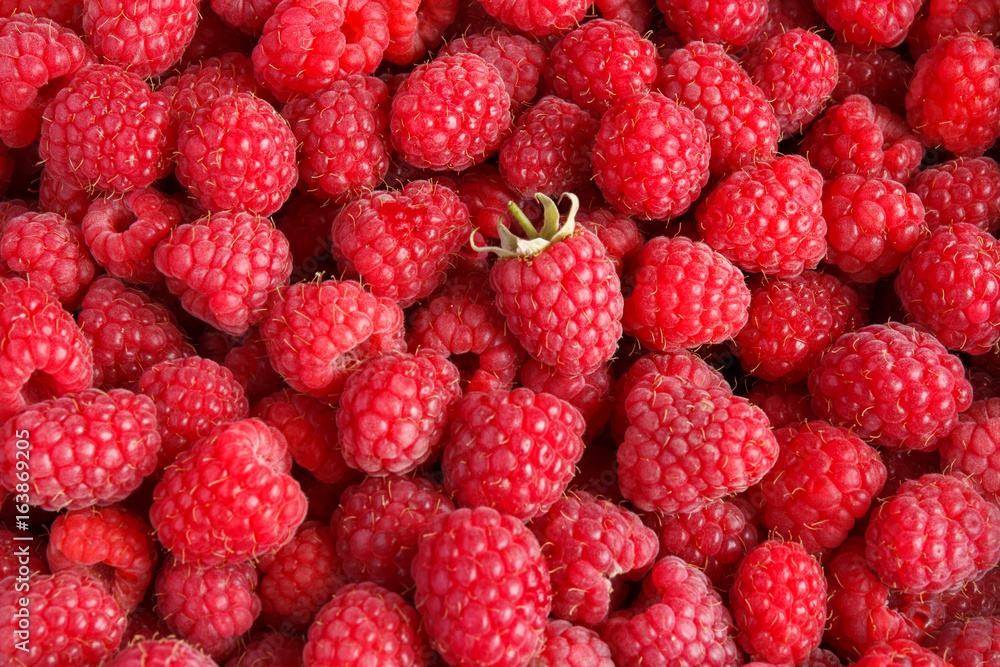 Fresh and sweet raspberries background Fresh and sweet raspberries background