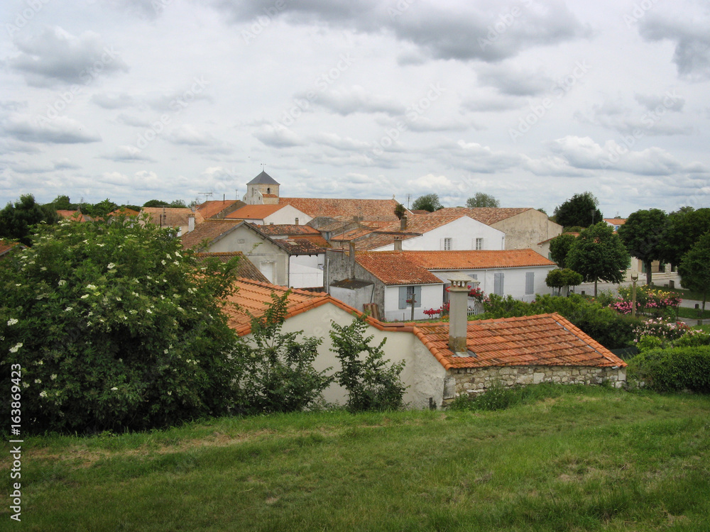 Red roofs in European village