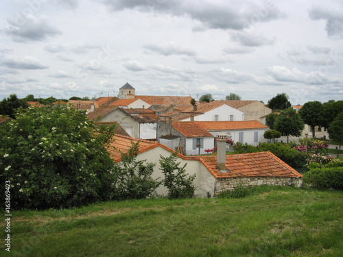 Red roofs in European village