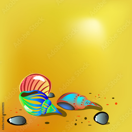 Bright shells on sand. vector illustration photo