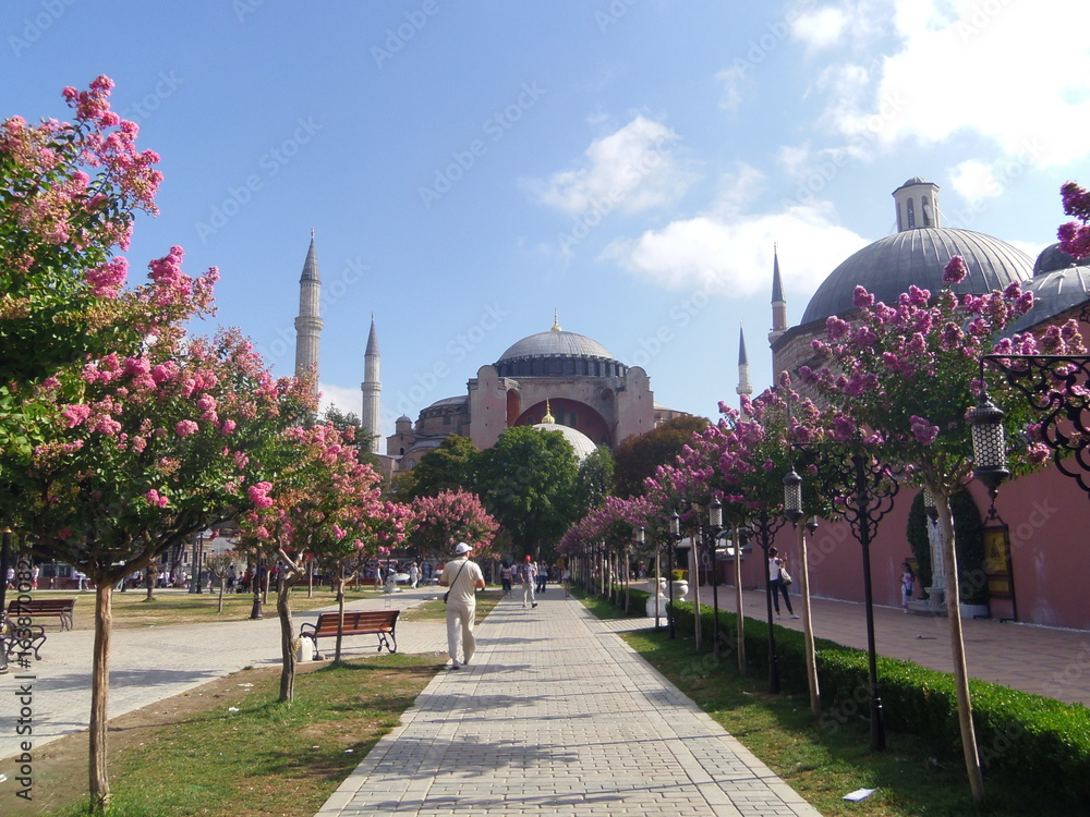 Obraz premium Hagia Sofia, Istanbul, Turquie