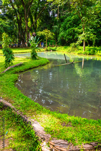 Pond at Buatong water fall and Jedsee fountain forest park photo