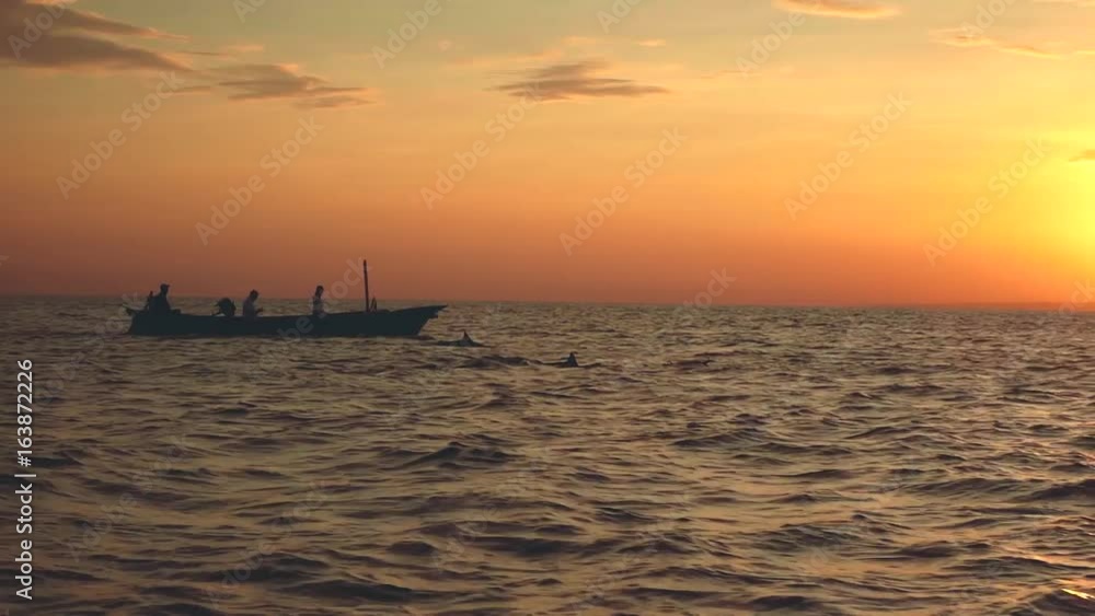 Dolphins jumping in front of boat with 3 people on sunrise, silhouettes Dolphins jumping in front of boat with 3 people on sunrise, silhouettes