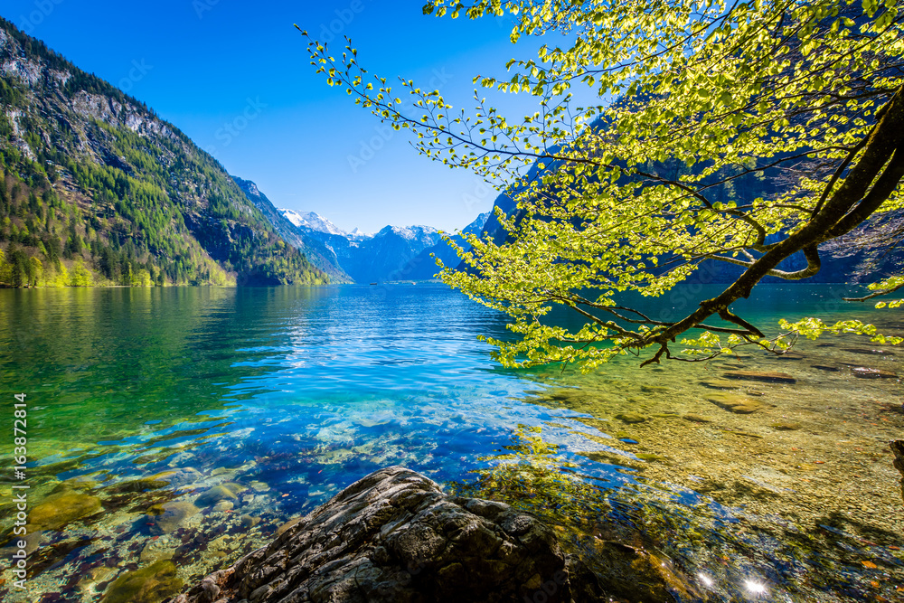 Fototapeta premium Königssee - Niemcy