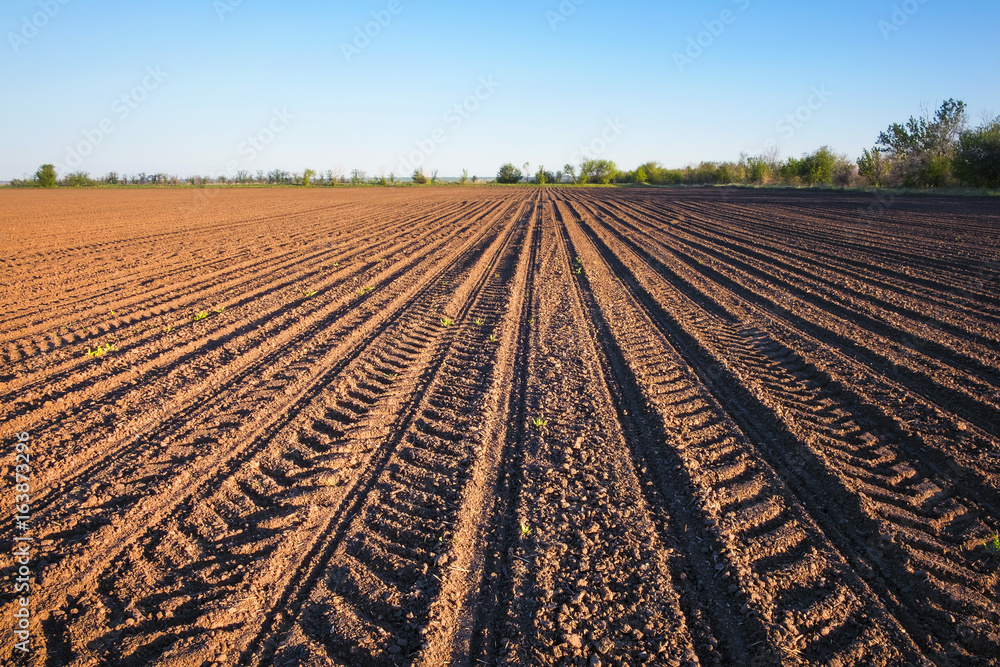 Preparing field for planting. Plowed soil in spring time with blue sky. Preparing field for planting. Plowed soil in spring time with blue sky.