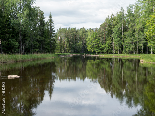 Swedish river and natural salmon area in summer with a fisherman