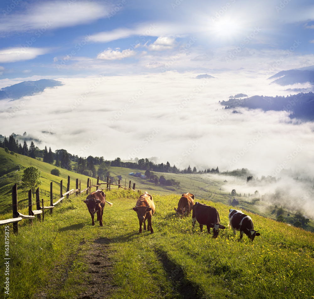 Fototapeta premium Dawn over the village of Verkhovyna