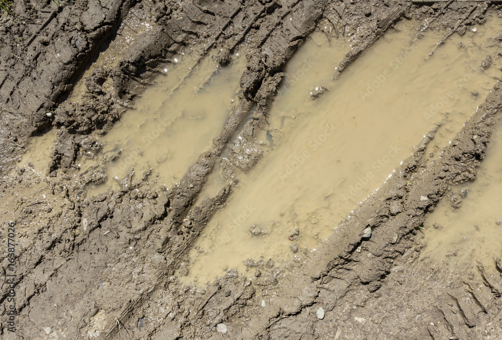 Mud background Mud background