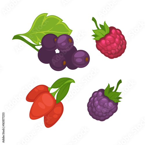Fresh berries set on white vector poster in graphic design